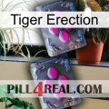 Tiger Erection 01